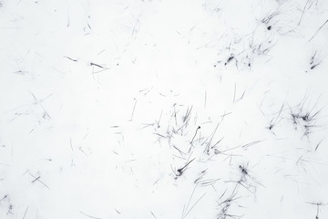 A snow covered field with grass in winter. Black and white photo