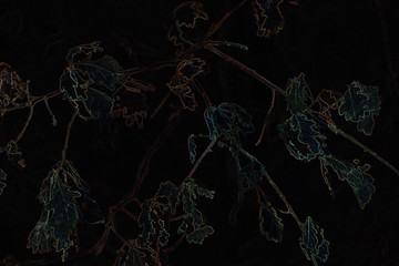  autumn leaves at night 