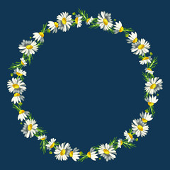 Beautiful wreath of small field daisies on a classic blue background. Pharmacy medicinal chamomile with leaves. Realistic style. Spring pattern.