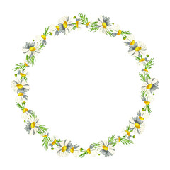 Beautiful wreath of small field daisies on a white background. Pharmacy medicinal chamomile with leaves. Realistic style. Spring pattern.