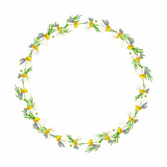 Beautiful wreath of field daisies on a white background. Pharmacy medicinal chamomile with leaves. Realistic style. Spring pattern. Rustic decor.