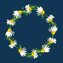 Beautiful wreath of field daisies on a classic blue background. Pharmacy medicinal chamomile with leaves. Realistic style. Spring pattern.