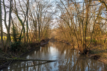 Das Flußbett der Nidda in einen Wäldstück bei Frankfurt am Main