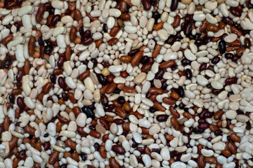 Background of dry kidney beans for food textures