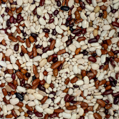 Background of dry kidney beans for food textures