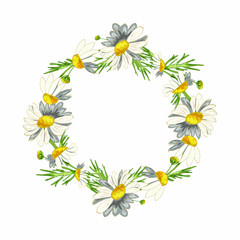 frame with daisy flowers