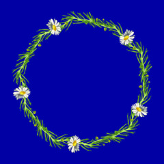 Beautiful wreath of five field daisies with leaves on a phantom blue background. Pharmacy medicinal chamomile. Realistic style. Spring pattern. Rustic decor.