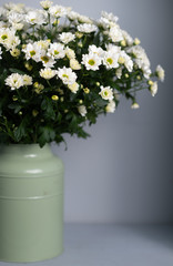 beautiful spring bouquet of chrysanthemums. Copy space 