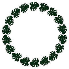 Fototapeta premium Round frame of horizontal dark leaf of monstera on white background. Isolated frame for your design.