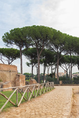 Palatine Hill, Rome Italy