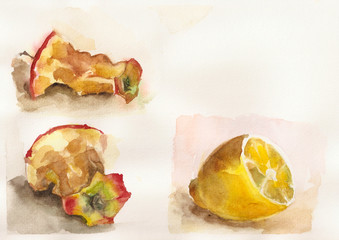 Watercolor of apple core and lemon
