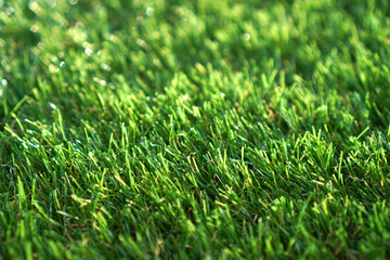 Soft artificial grass background close up