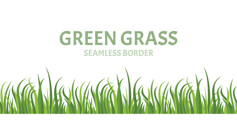 Fototapeta premium Green grass seamless border. Vector illustration of green lawn in cartoon simple flat style.