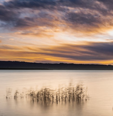 Obraz premium alba sul lago di vico, giunchi nel vento, lunga esposizione