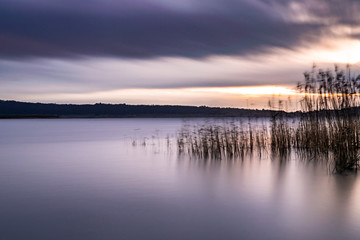 Fototapeta na wymiar alba sul lago di vico, giunchi nel vento, lunga esposizione