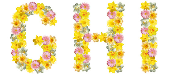 Letters of flowers. D, E, F. Yellow, white and pink flowers: daffodils, gerberas, daisies. Bright creative concept, white background. English alphabet. The concept of congratulations, spring, summer.