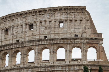 Fototapeta premium Colosseum, Rome Italy