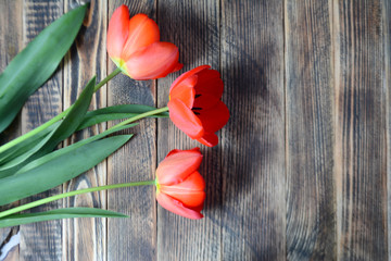Bouquet of red tulips on a wooden background. Spring flowers. Mother's day, Valentine's day, international women's day, March 8