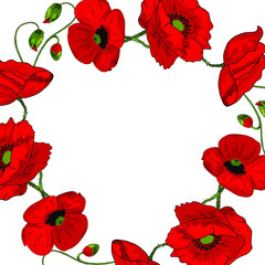 Beautiful wreath of red poppies with buds on a white background. Realistic style. Spring pattern. Rustic decor. Template for a card with flowers.