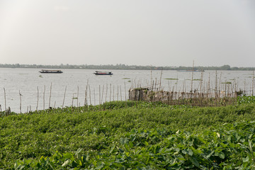 Fototapeta na wymiar Mekong Delta