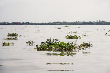 Mekong Delta