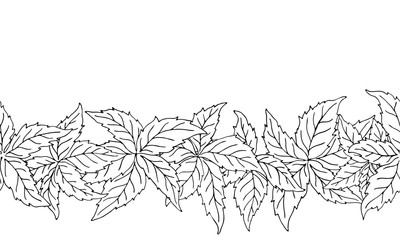 Hand drawn nature seamless pattern with virginia creeper leaves. Colorless endless vector background tracery