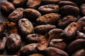 Cacao beans on plate closeup