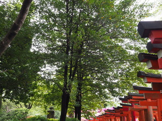 鳥居