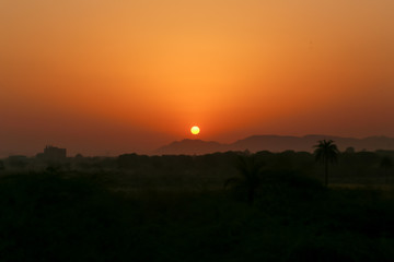 sunset over the field