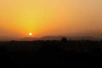 sunset over the field