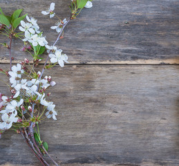 Twig of sakura blossom on old non paint wooden background. Copy space, flat lay