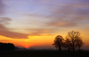 Obraz na płótnie Canvas Złoty, pastelowy zachód słońca nad polami, obszry wiejskie.