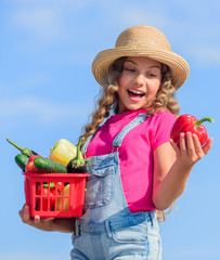 Organic food. Sunny day at farm. Vegetables in basket. Girl adorable child farming. Child carry harvest sky background. Homegrown veggies. Natural vitamin nutrition. Crops harvest. Harvest season