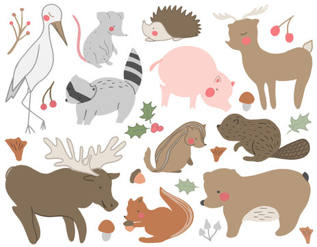 A set of hand drawn cute woodland animals. Racoon, bear, mouse, chipmunk, squirrel,deer, stark, pig, hedgehog, bird, mushroom, acorn, bear . Vector collection perfect for childish decoration clothes,