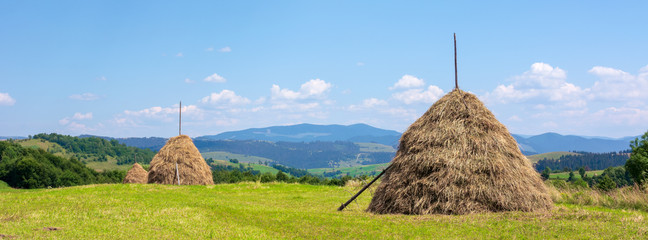 haystack on the grassy field in summer. traditional carpathian rural landscape in mountains. sunny...