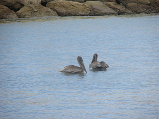 playa san mateo ecuador