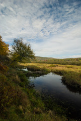 Fototapeta na wymiar Autumn Morning in Canaan Valley State Park, West Virginia