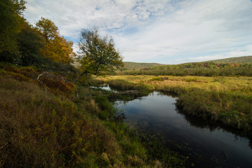 Autumn Morning in Canaan Valley State Park, West Virginia