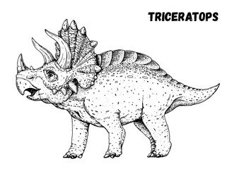 Triceratops dinosaur hand drawn sketch. Vector illustration. Herbivorous dinosaur © vidimages