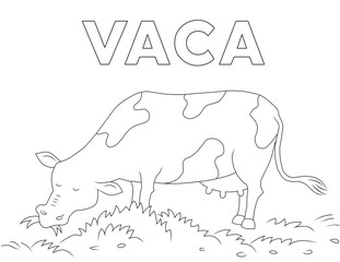 cow in spanish, coloring page for kids