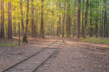 Railroad tracks run through the woods in Broken Bow, Oklahoma.