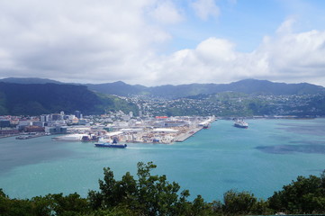 Bay View from Mt. Victoria in Wellington, New Zealand