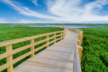 Fototapeta na wymiar Floating boardwalk through the Prince Edward Island National Park at Greenwich, PEI, Canada.