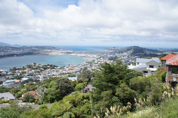 View from Mt. Victoria in Wellington, New Zealand