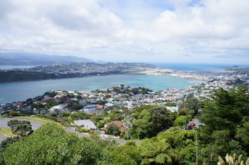 Fototapeta na wymiar View from Mt. Victoria in Wellington, New Zealand