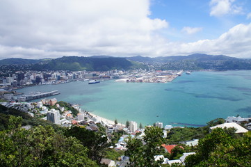 Fototapeta na wymiar Bay View from Mt. Victoria in Wellington, New Zealand