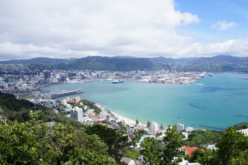 Fototapeta na wymiar Bay View from Mt. Victoria in Wellington, New Zealand