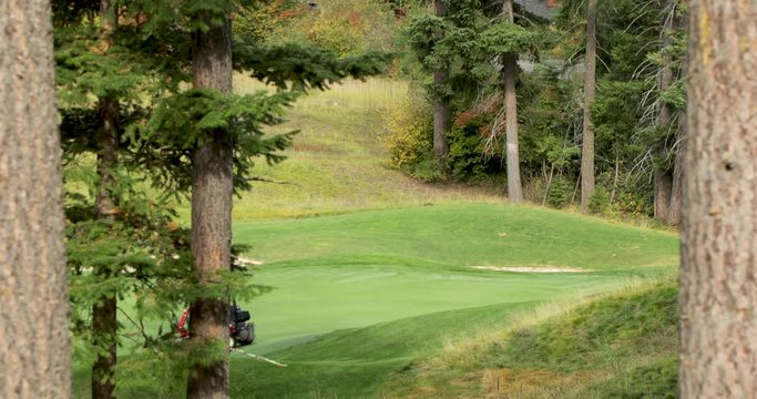 Lawn mower cutting the grass on a golf course.