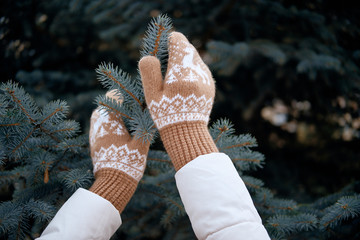 Hands in Knitted Mittens. Winter lifestyle. Wearing Stylish Warm Clothes. Woman in warm clothes