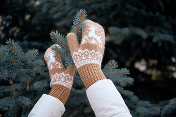 Hands in Knitted Mittens. Winter lifestyle. Wearing Stylish Warm Clothes. Woman in warm clothes